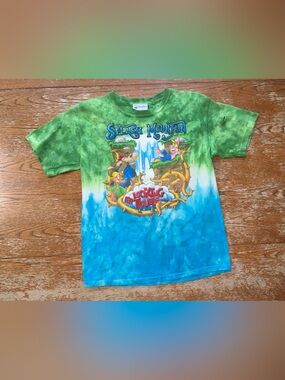 Retired Ride Disney Splash Mountain Looking For Trouble Size Youth Medium